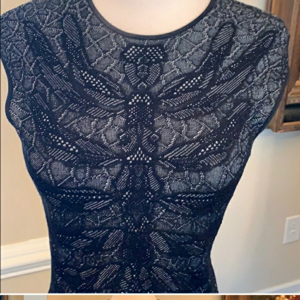 Stunning Alexander McQueen Dress!!